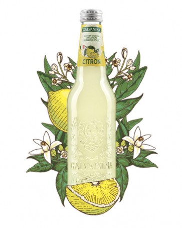 Limonade citron -   bio - 355 ml x 12