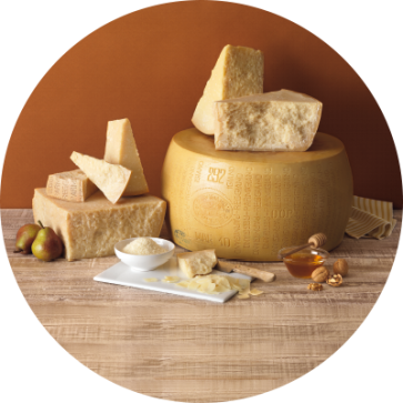 Parmigiano Reggiano - Fromages