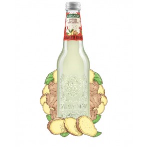 Limonade gingembre -  bio - 355 ml x 12